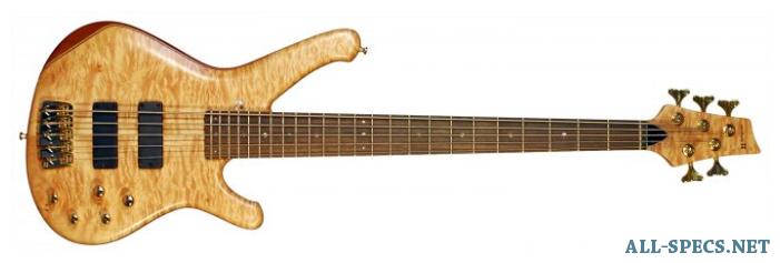 sandberg bullet bass